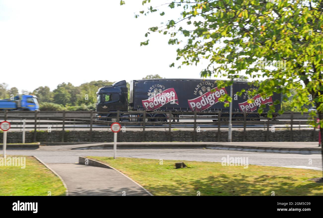 Ein Marstons Brauerei Pedigree Truck fährt auf der M27 hampshire England in der Nähe von Southampton. Berichte über Biermangel aufgrund des Mangels an LKW-Fahrern. Stockfoto