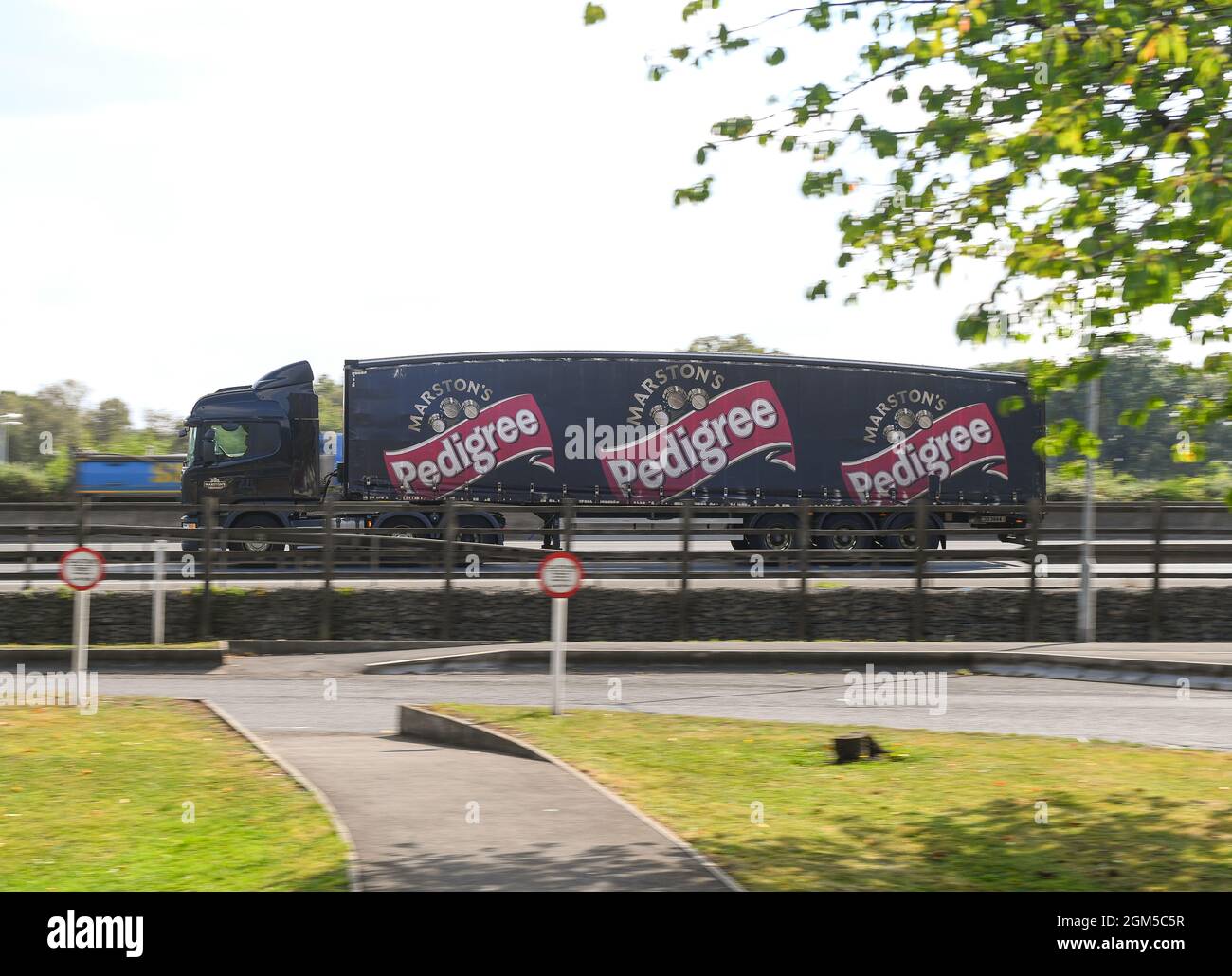 Ein Marstons Brauerei Pedigree Truck fährt auf der M27 hampshire England in der Nähe von Southampton. Berichte über Biermangel aufgrund des Mangels an LKW-Fahrern. Stockfoto