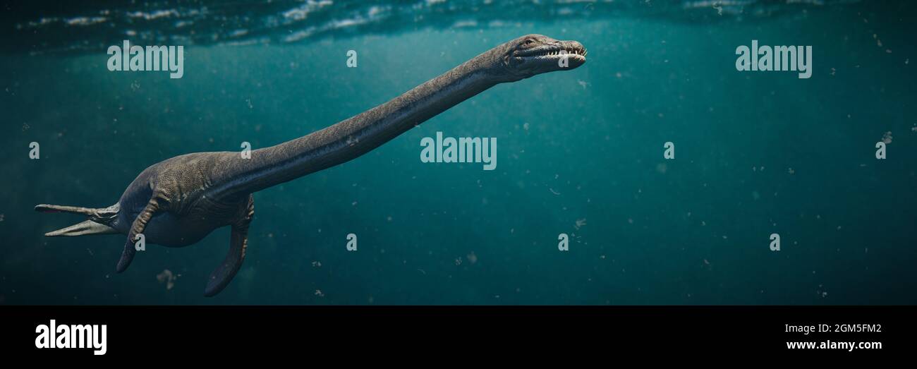 Elasmosaurus, Plesiosaurier aus der späten Kreidezeit, eines der längsten Halstiere, die je gelebt haben, 3D-Illustration Stockfoto