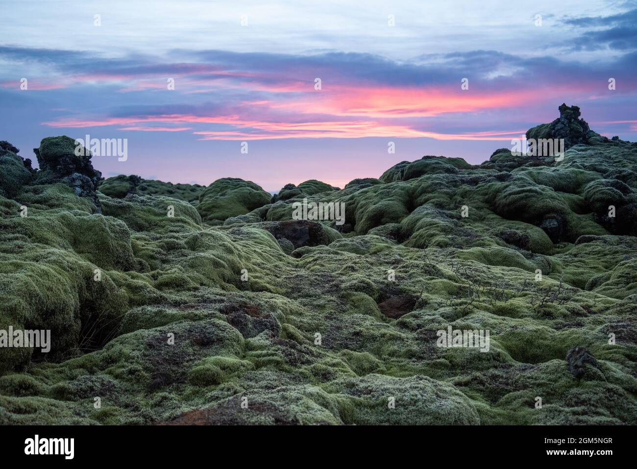 Isländisches Landschaftsfoto bei Sonnenuntergang mit vulkanischem Gesteinsfeld, das mit grünem Moos bedeckt ist Stockfoto