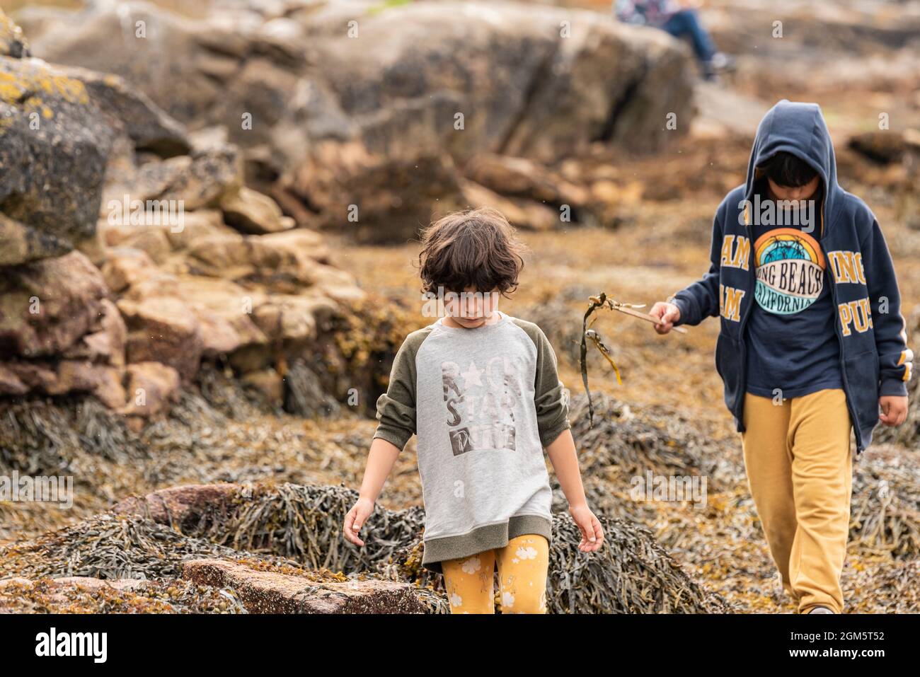 Ein Junge und seine kleine Schwester erkunden an einem Strand im Naturpark zwischen Felsen und Algen. Stockfoto