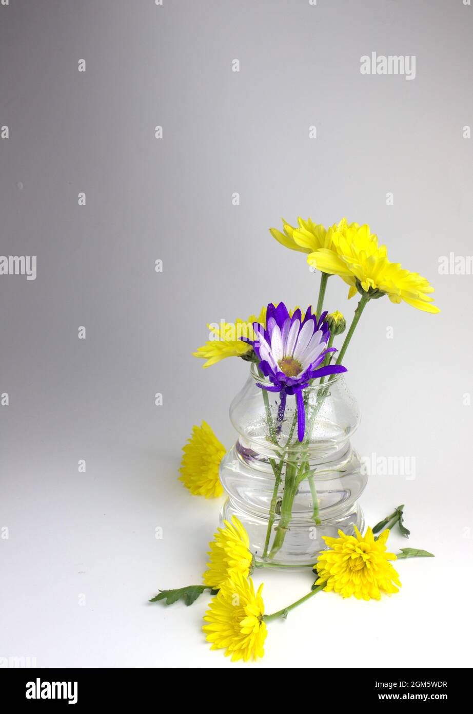 Blumenarrangement, gelbe Blumen und lila mit rosa , ein Glas ein Wasser mit Blumen. Isolierte Blumenarrangements. Stockfoto