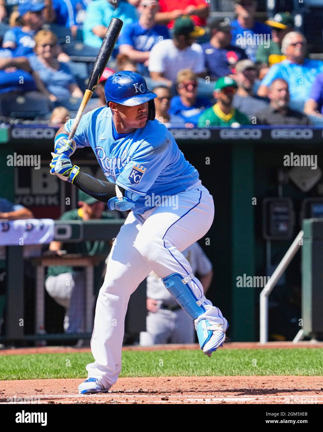 Kansas City, MO, USA. September 2021. Die Kansas City Royals Salvador Perez (13) starteten für die Saison im Kauffman Stadium in Kansas City, MO, auf die Startnummer 45. Die A besiegten die Royals 7-2 . Jon Robichaud/CSM/Alamy Live News Stockfoto