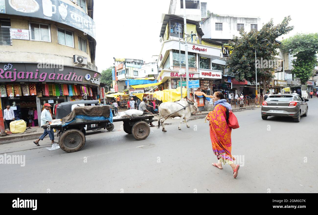 Ein Bullock-Wagen mit großen Eisblöcken auf der MG Road in Pune, Indien. Stockfoto