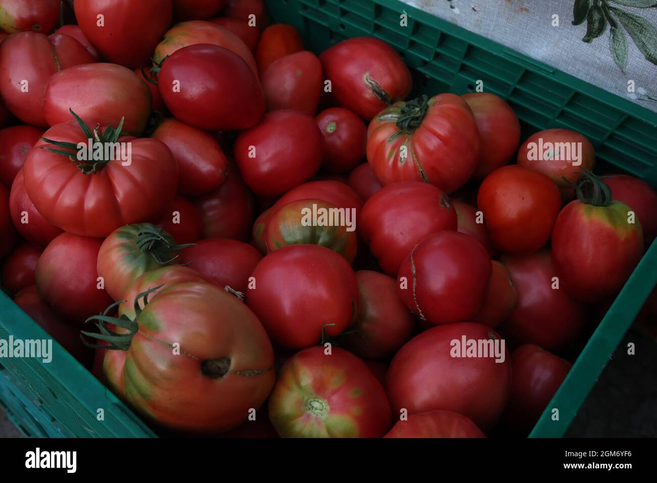 Auf einem Basar in Kroatien werden verschiedene Gemüse verkauft Stockfoto