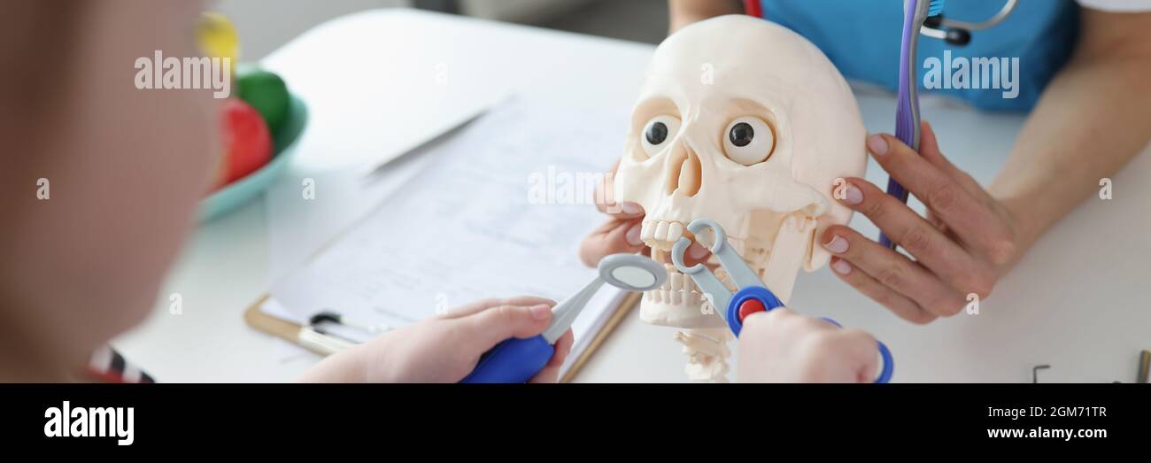 Kleines Mädchen, das mit Kindern Zähne aus dem künstlichen Schädel herauszieht Nahaufnahme von zahnmedizinischen Instrumenten Stockfoto