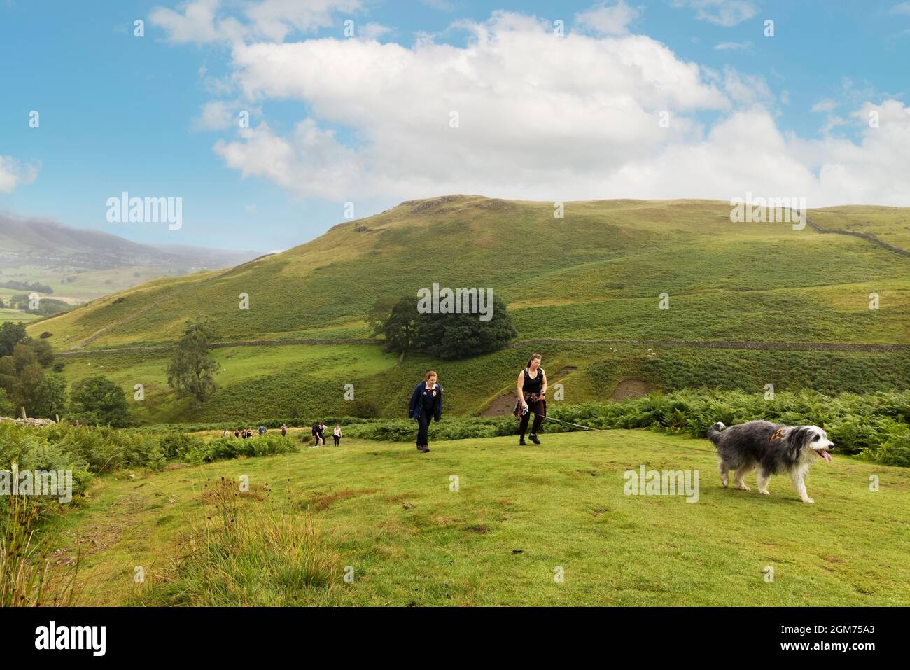 Hundespaziergängen im Lake District - Menschen, die mit dem Hund auf dem englischen Land spazieren, Walla Crag, Keswick, Lake District National Park, Cumbria England Großbritannien Stockfoto
