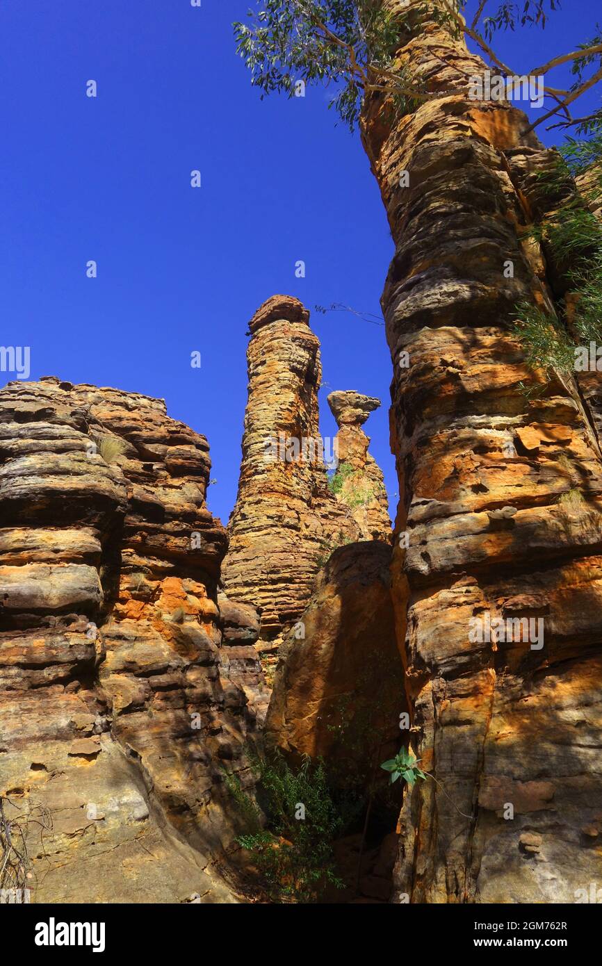 Felsformationen, Southern Lost City, Limmen-Nationalpark, Northern Territory, Australien Stockfoto