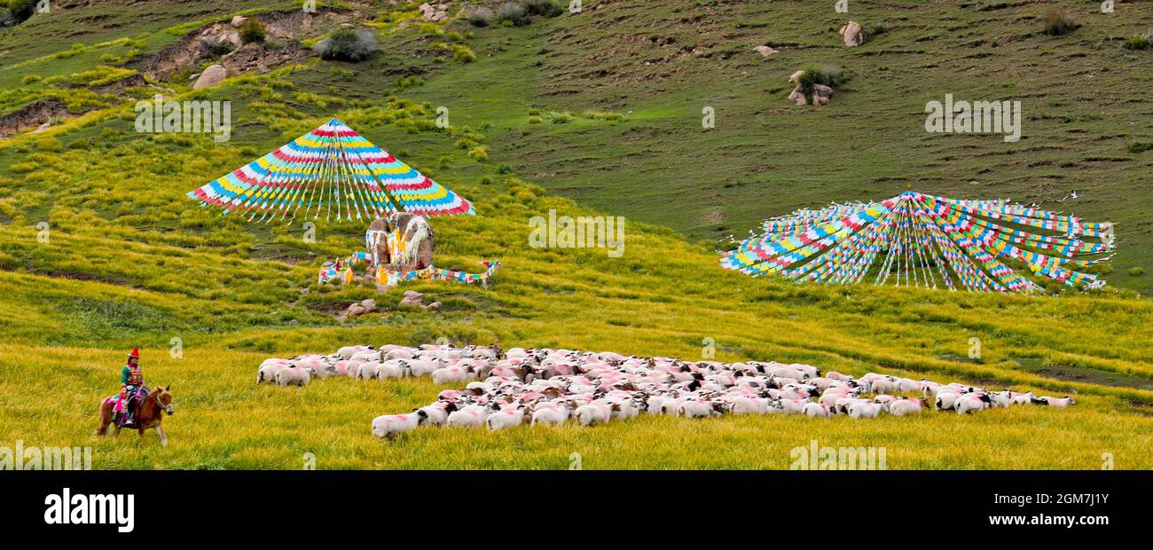 ZHANGYE, CHINA 16. SEPTEMBER 2021 das am 16. September 2021