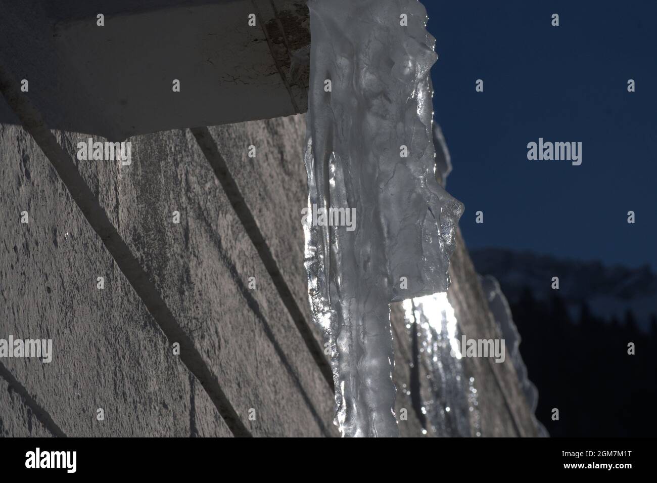 Ickle Eiszapfen schmelzen tropfend Tropfen Winterschnee Stockfoto