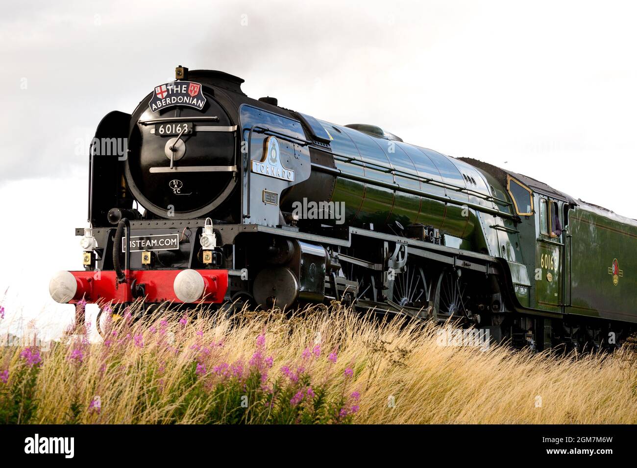 Dampfmaschine Tornado durch Montrose Scotland UK Stockfoto