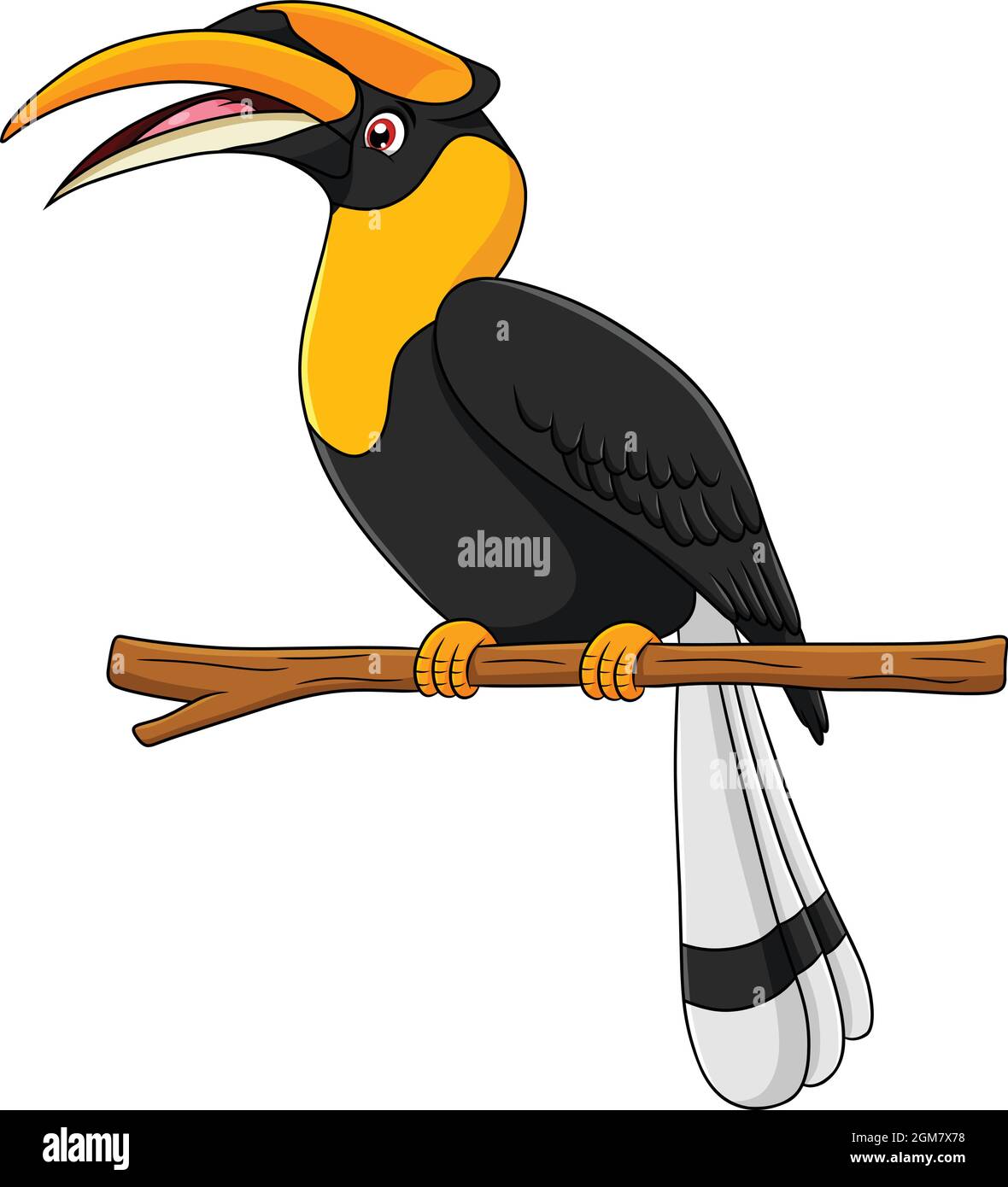 Niedliche Hornbill Vogel Cartoon Vektor Illustration Stock Vektor