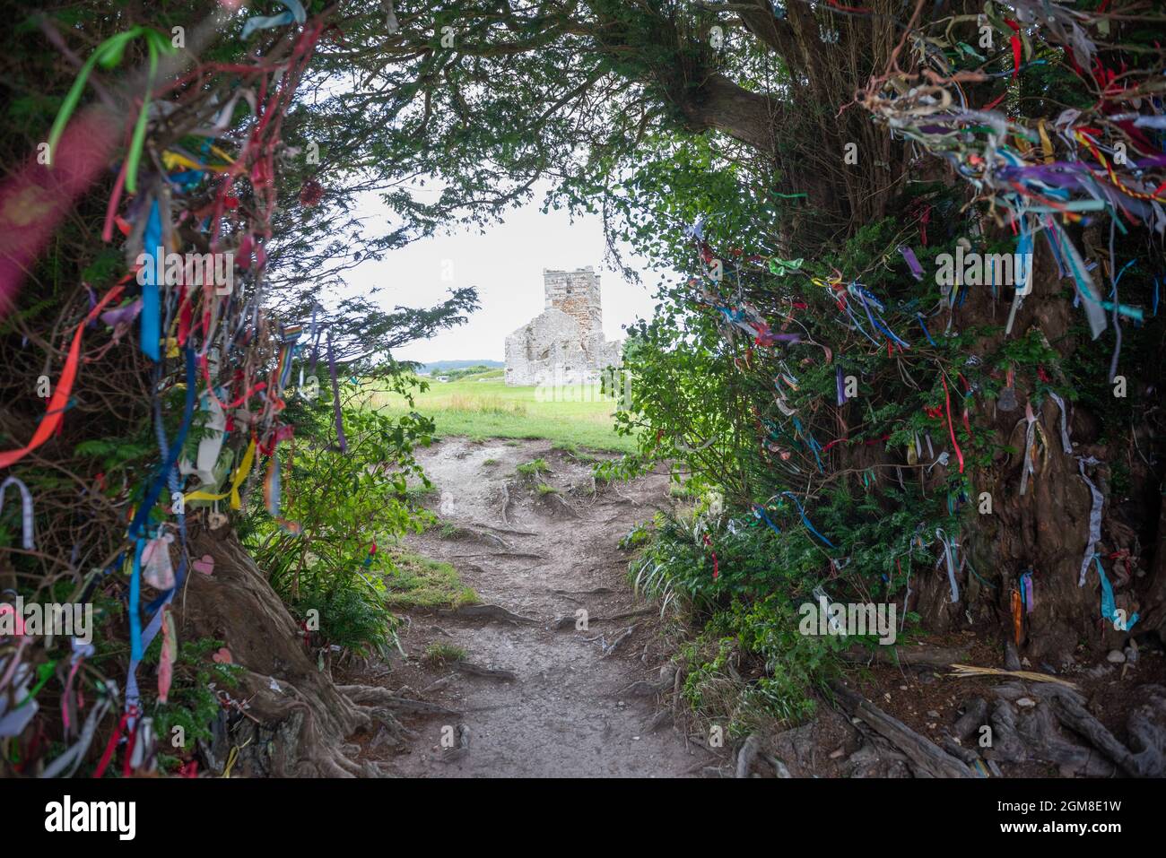 Dekorierte Eibenbäume am neolithischen Denkmal Knowlton Henge in der Nähe von Wimborne, Dorset, Großbritannien Stockfoto