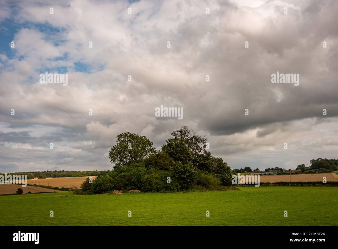 The Great Barrow at Knowlton Neolithisches Henge Monument in der Nähe von Wimborne, Dorset, Großbritannien Stockfoto
