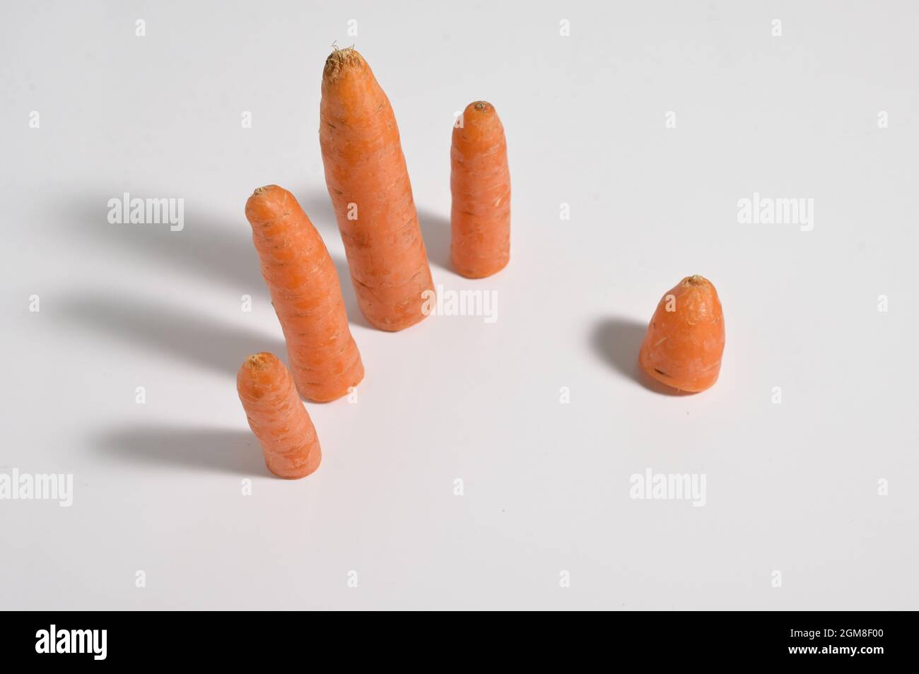 Abstract Sweet Carrot Erschreckend Geschnittene Finger Stockfoto