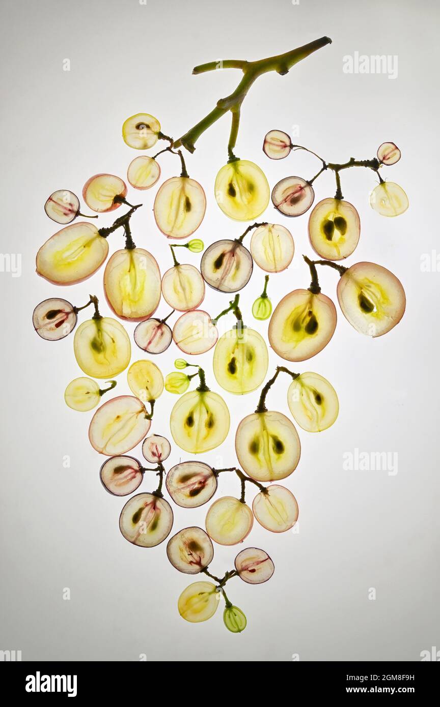Traubenbündel Nahaufnahme Traubenscheiben mit Samen in Einem Schnitt Stockfoto
