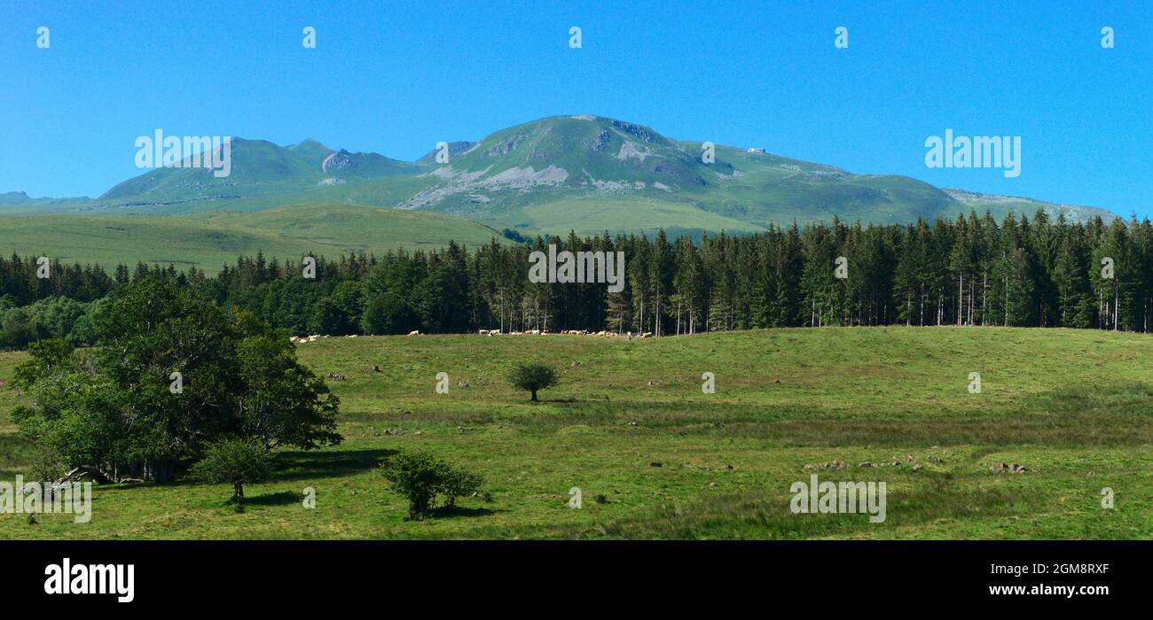 Blick auf den Chaîne des Puys du Sancy im Sommer. Auvergne, Frankreich Stockfoto