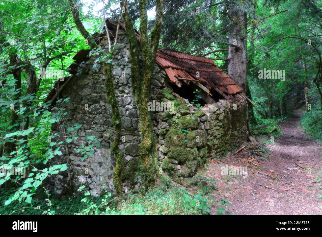 Ruine der Steinhütte im Wald mit eingestürzter Decke Stockfoto