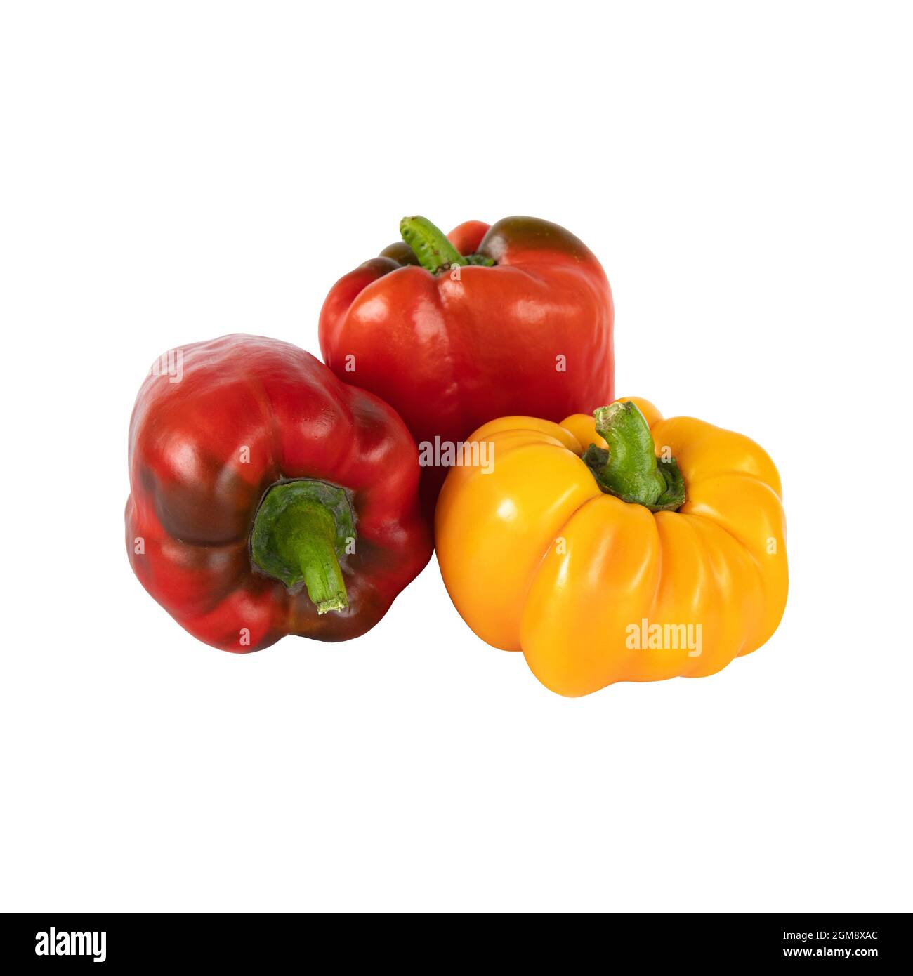 Reife gelbe und rote Paprika isoliert auf weißem Hintergrund, frisches Gemüse, Seitenansicht Stockfoto