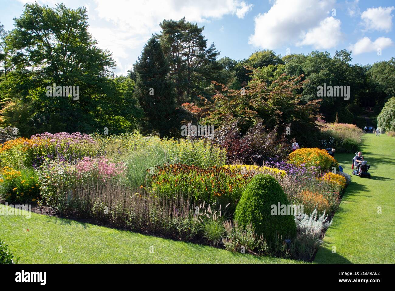 Blumenbeet im RHS Harlow Carr Harrogate Stockfoto