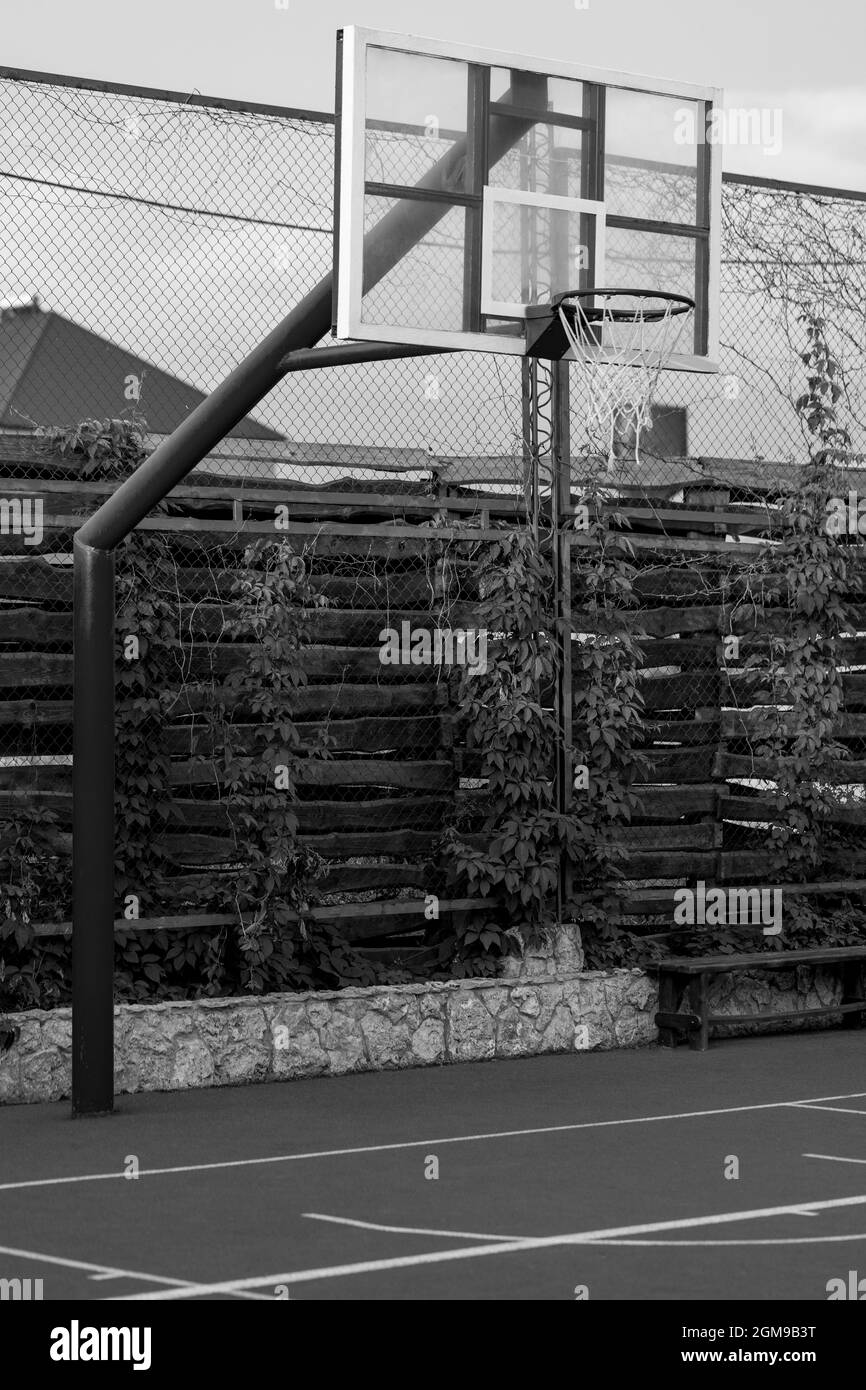 Roter Basketballkorb mit Netz auf mit grünen Blättern Hintergrund. Sportkonzept Stockfoto