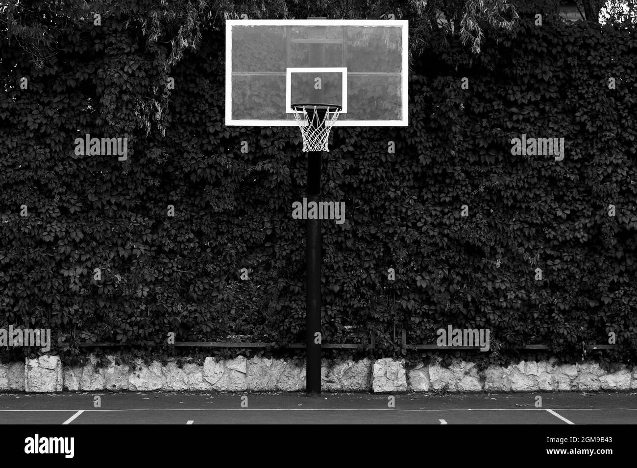 Roter Basketballkorb mit Netz und grünem Hintergrund. Sportkonzept Stockfoto