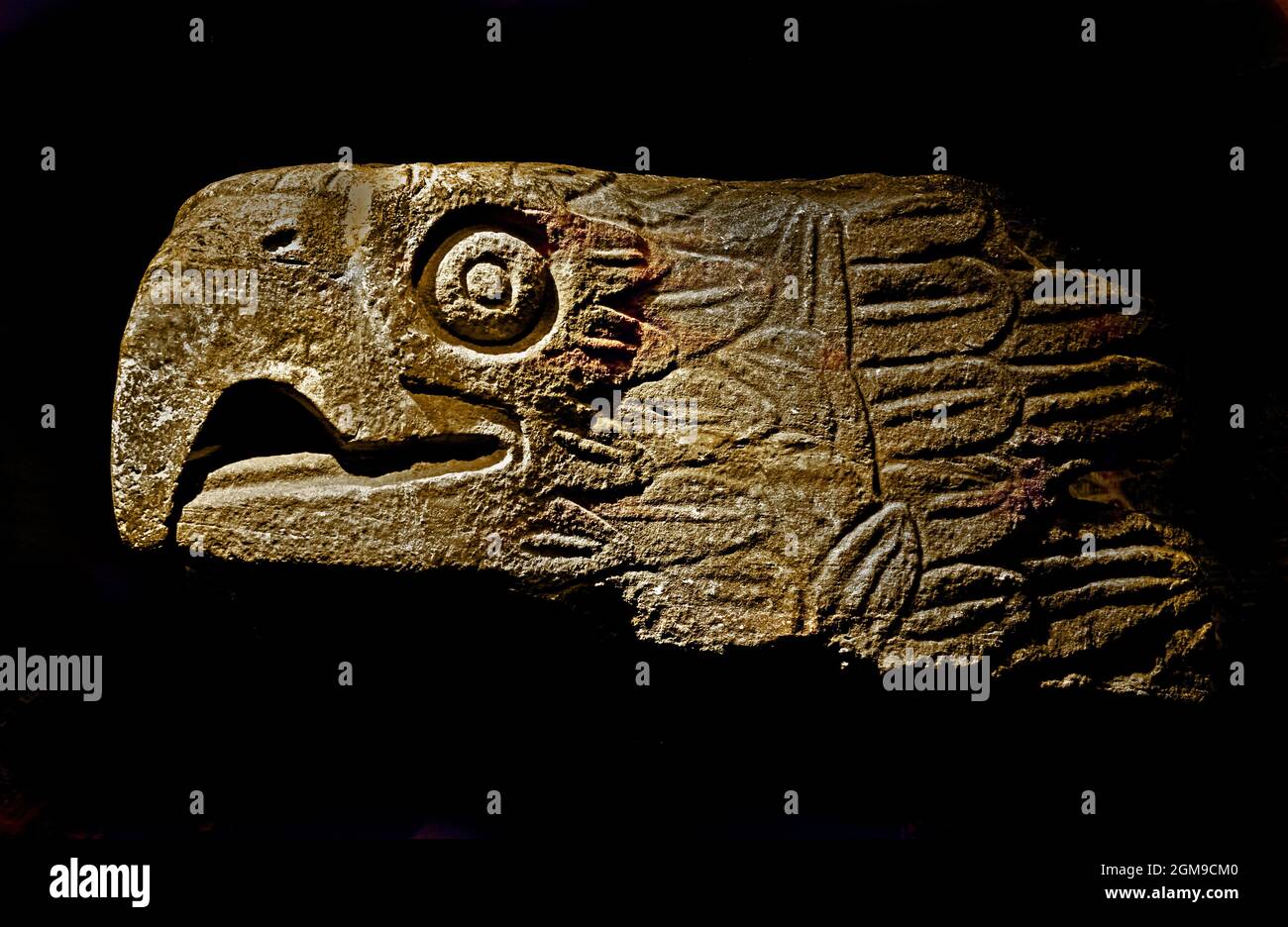 Steinskulptur eines Adlerkopfes, entdeckt am Fuße eines Berges in der Gegend von Tehuacán, Puebla,1350-1521. 100 x 120cm Azteken (die Azteken, mesoamerikanische Kultur, Zentralmexiko 1300 bis 1521 (14.-16. Jahrhundert), Aztekenreich, Tenochtitlan, Stadtstaat der Mexica, Tenochca, Texcoco, Tlacopan, ) Stockfoto