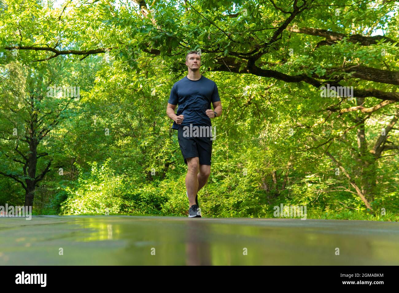 Ein Mann Athlet läuft im Park im Freien, um den Wald, Eichen grün Gras junge ausdauernde Athlet Sport Sport Übung, Fitness-Outdoor-Athlet Stockfoto