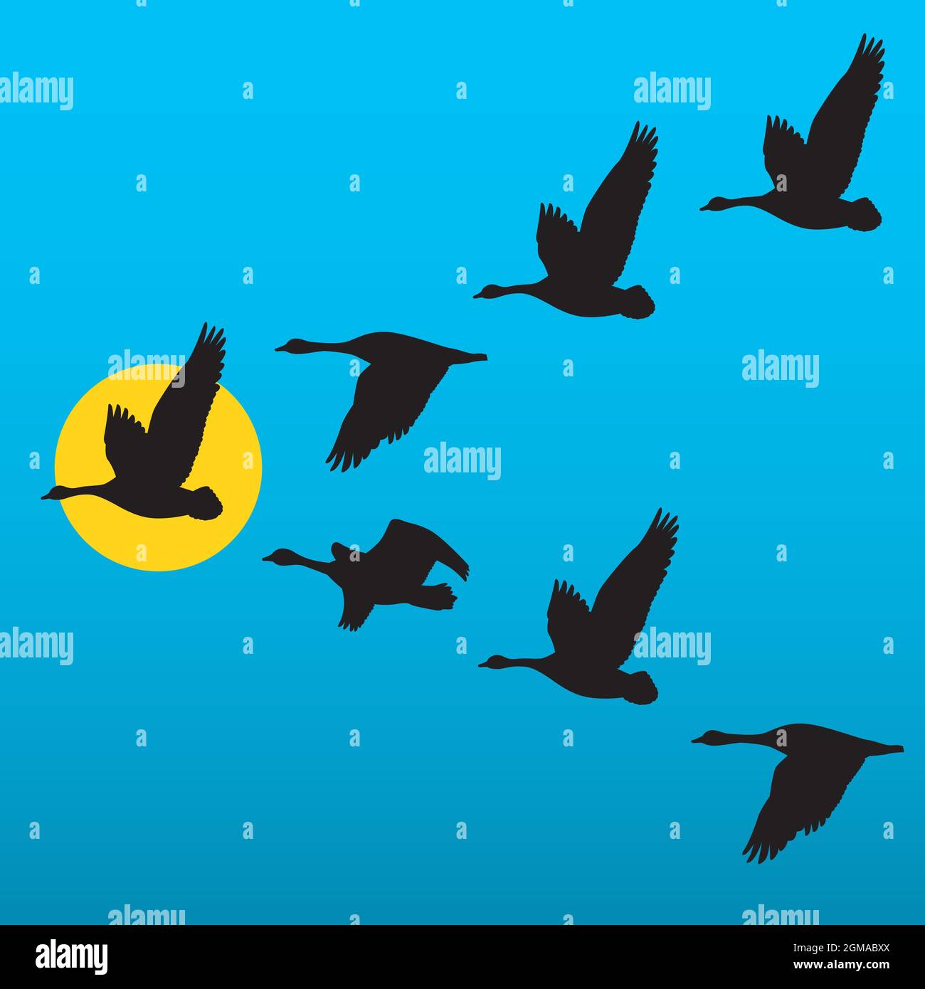 Herde wandernder Gänse, die in V-Formation fliegen. Vektor-Illustration von Vögeln gegen blauen Himmel. Führungskonzept für Geschäftsanwendungen. Stock Vektor