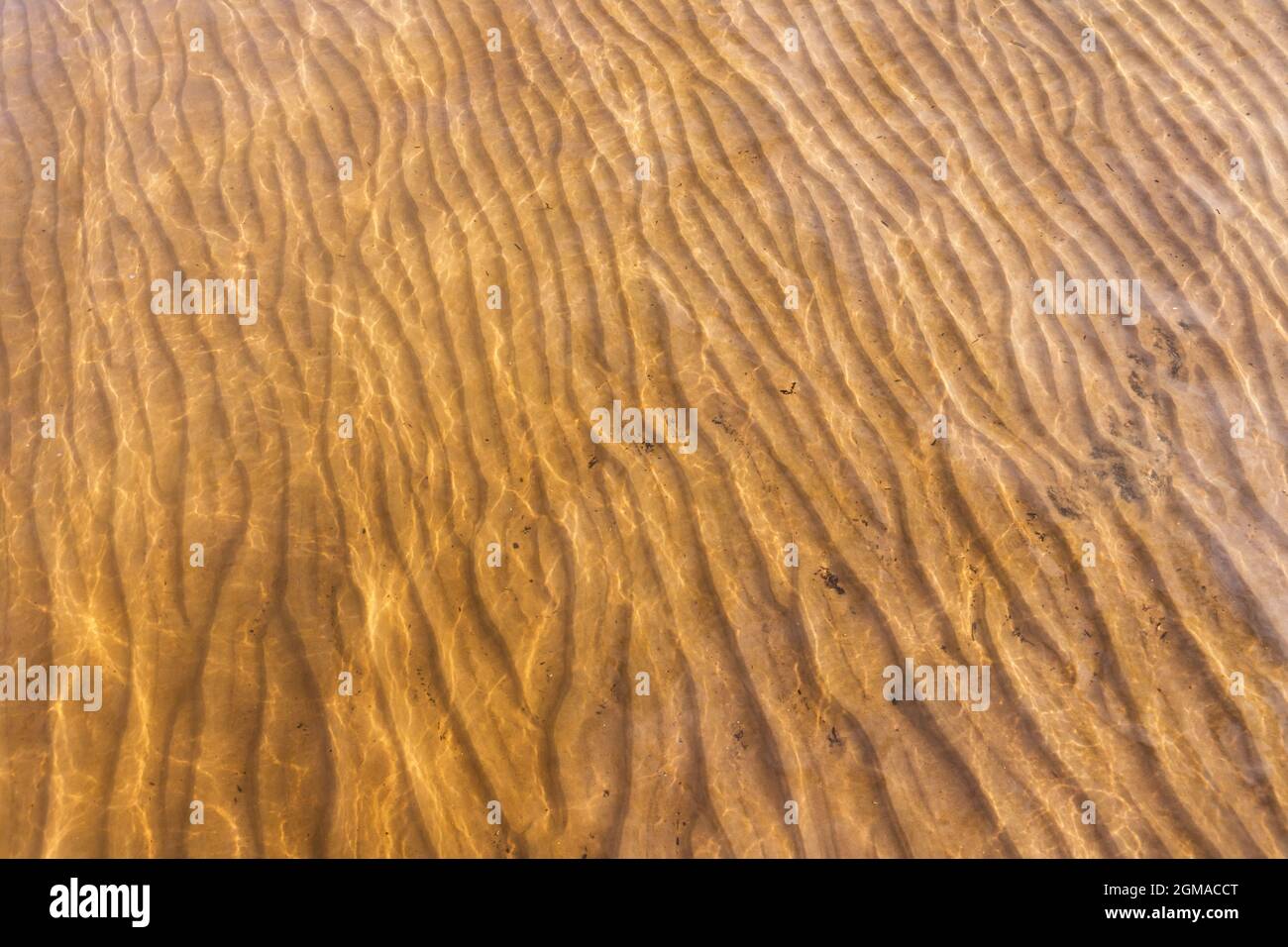 Gelber sandiger Meeresboden ist unter seichtem Wasser mit Wellenmuster, natürliches Hintergrundfoto Stockfoto