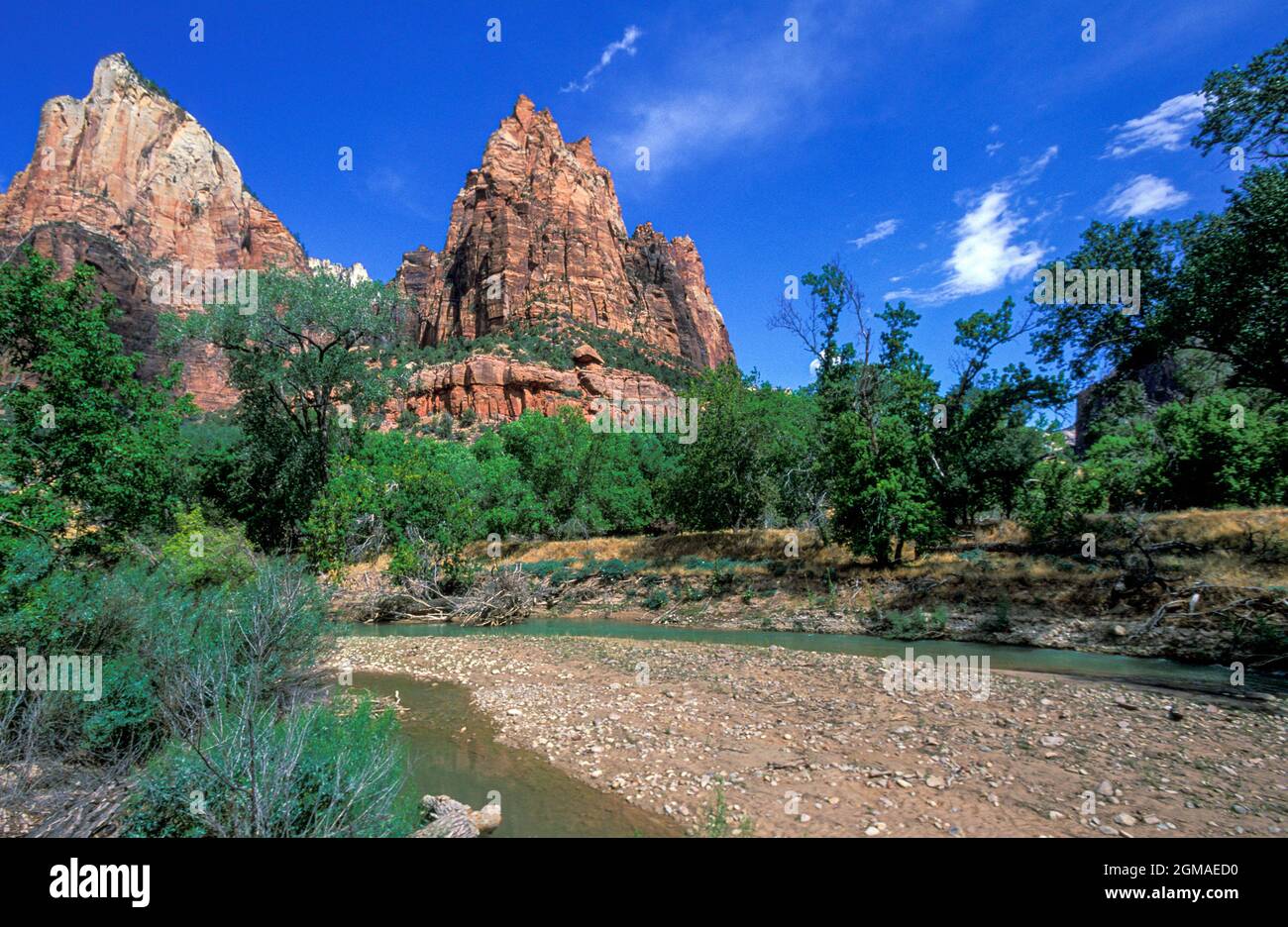 Links Fork North Creek, Zion National Park, Utah, USA Stockfoto