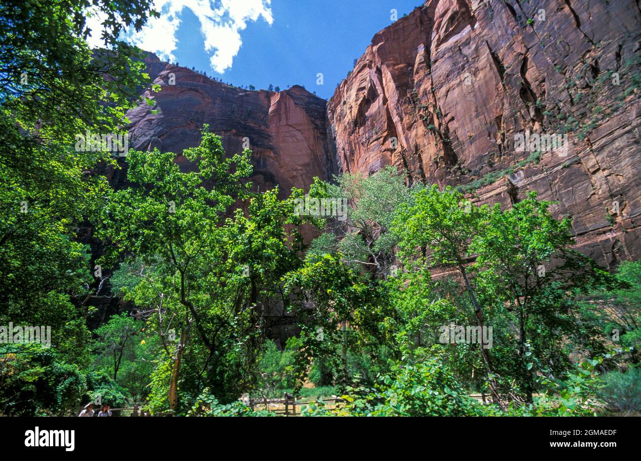 Zion National Park, Utah, USA Stockfoto