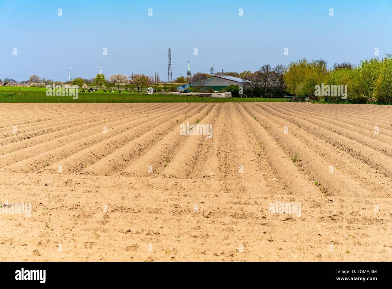 Blick auf die gepflügten Felder im Frühjahr zum Wachsen Stockfoto