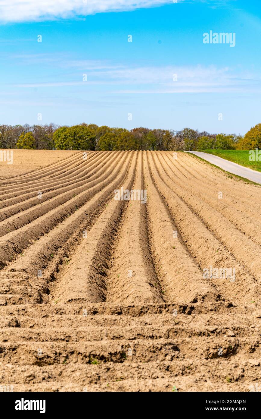 Blick auf die gepflügten Felder im Frühjahr zum Wachsen Stockfoto