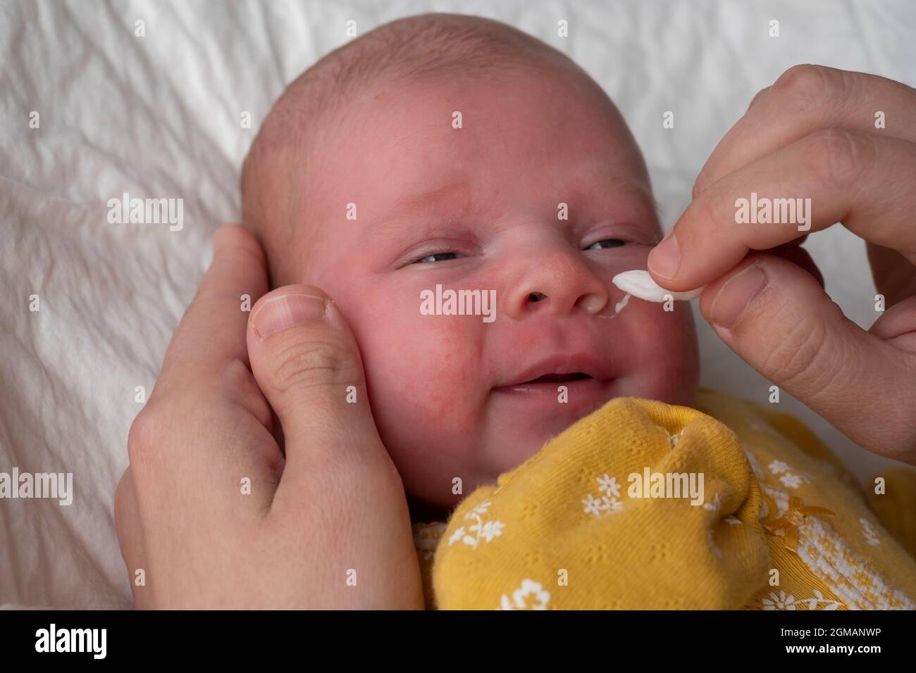 Die Nase des Neugeborenen mit einem Wattestäbchen von den Boogern reinigen  Stockfotografie - Alamy