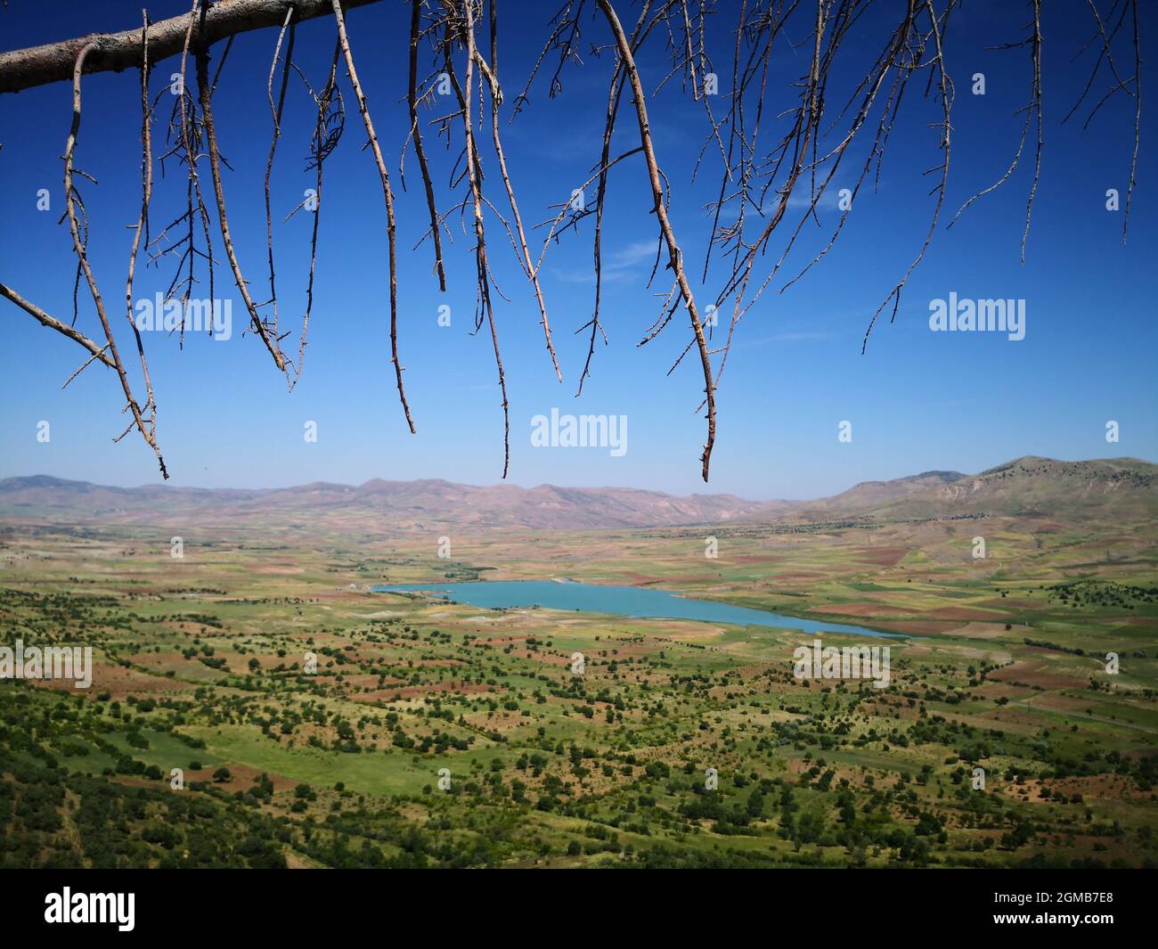 Trockener Zweig und Trocknen See Panoramic Stockfoto