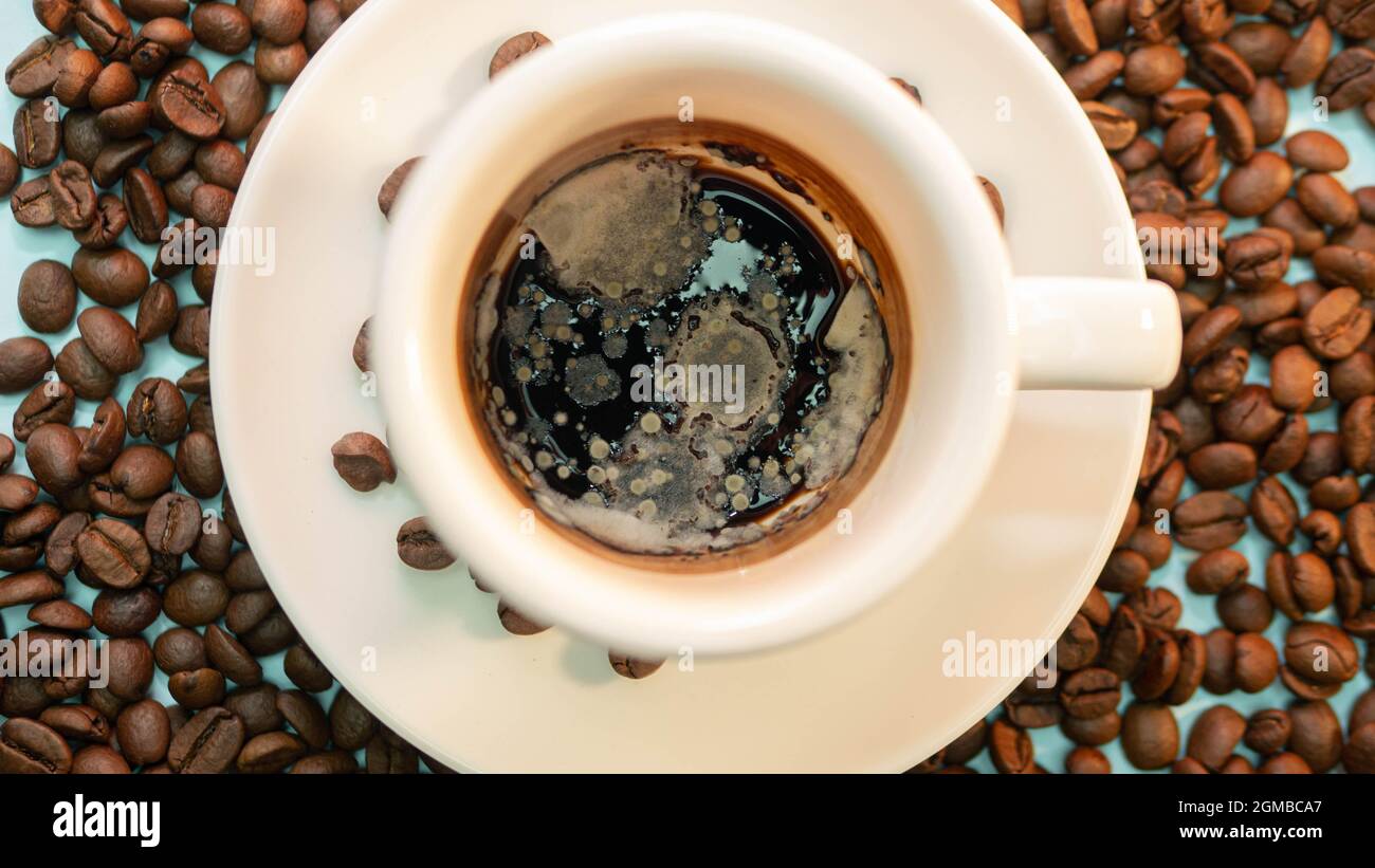 Schimmeliger kaffeefilter -Fotos und -Bildmaterial in hoher Auflösung –  Alamy