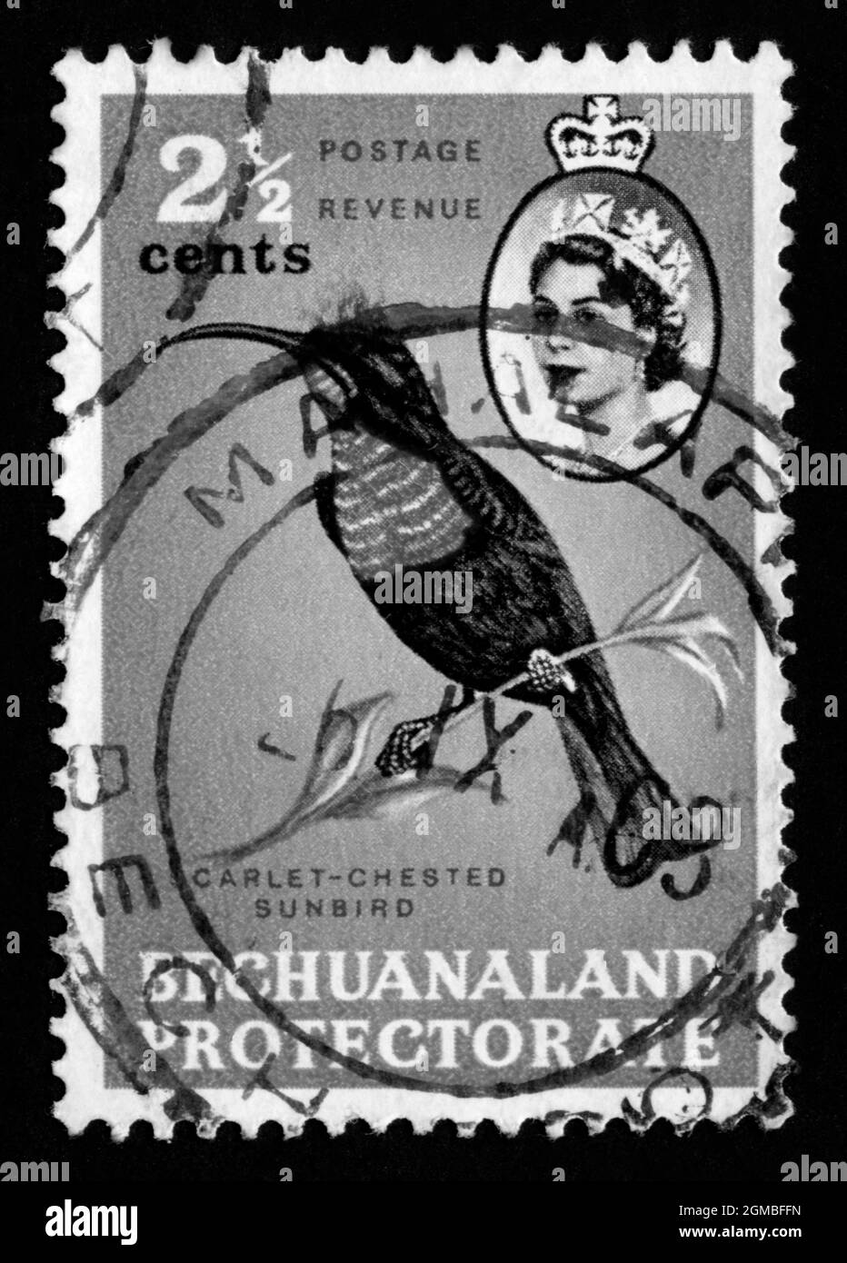 Briefmarkendruck in Bechuanaland Protektorat, Vögel Stockfoto
