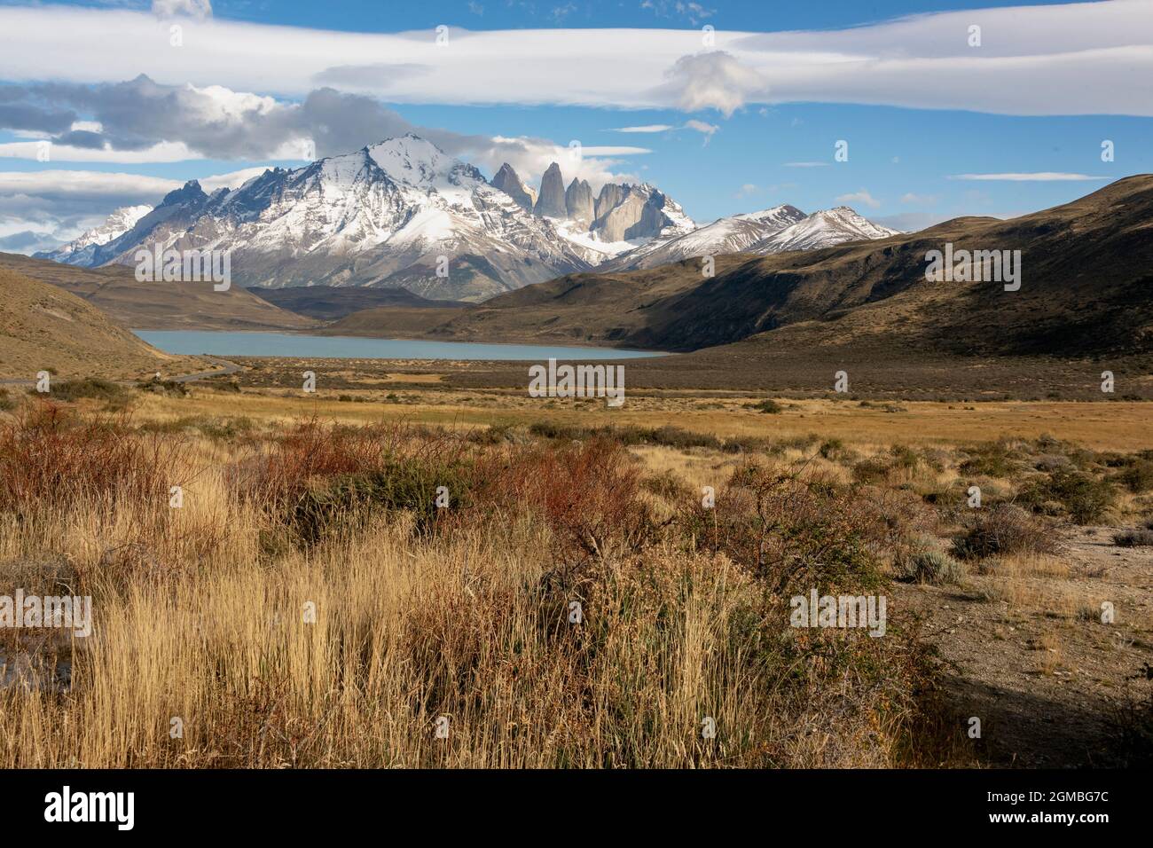 Torres del Paine mit Fallgräsern vom Lago Amarga, Patagonien Stockfoto