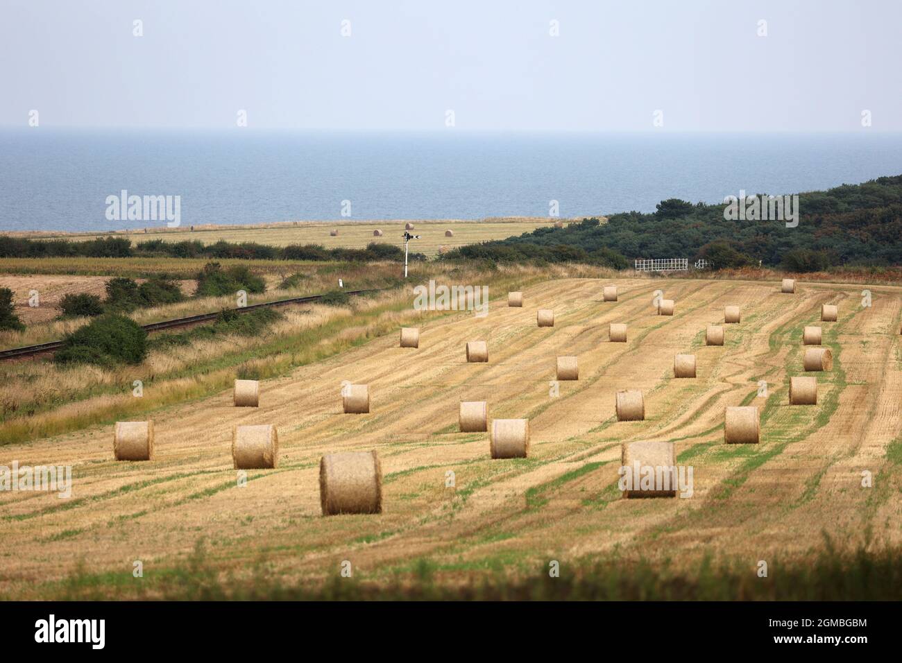 Sheringham, Großbritannien. September 2021. Heuballen, in der Nähe von Sheringham, Norfolk, Großbritannien, am 16. September, 2021, vor dem Wochenende der 1940er Jahre. Kredit: Paul Marriott/Alamy Live Nachrichten Stockfoto