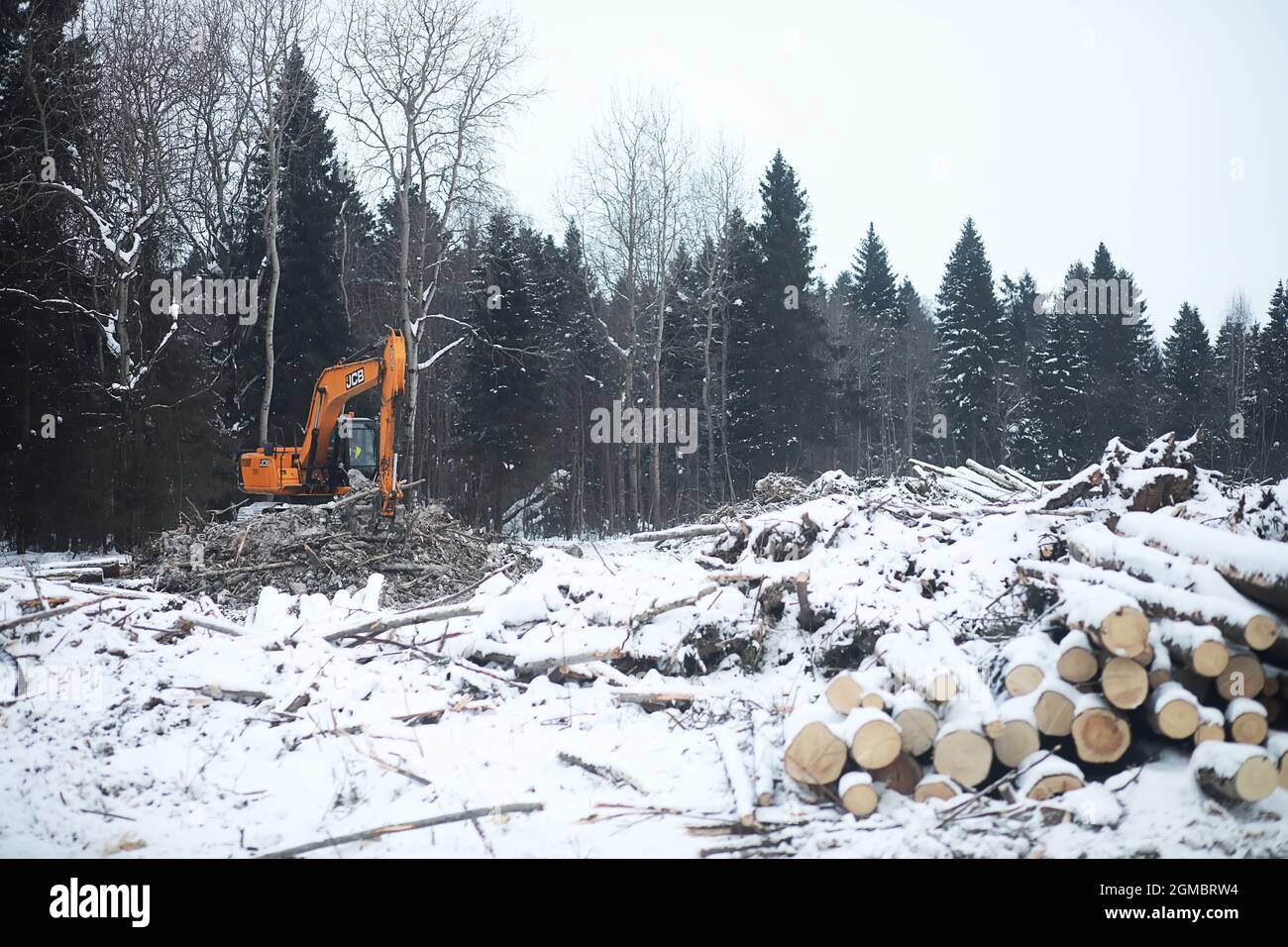 Ein LKW transportiert Holzstämme im Rücken. Holzstapler Stockfoto