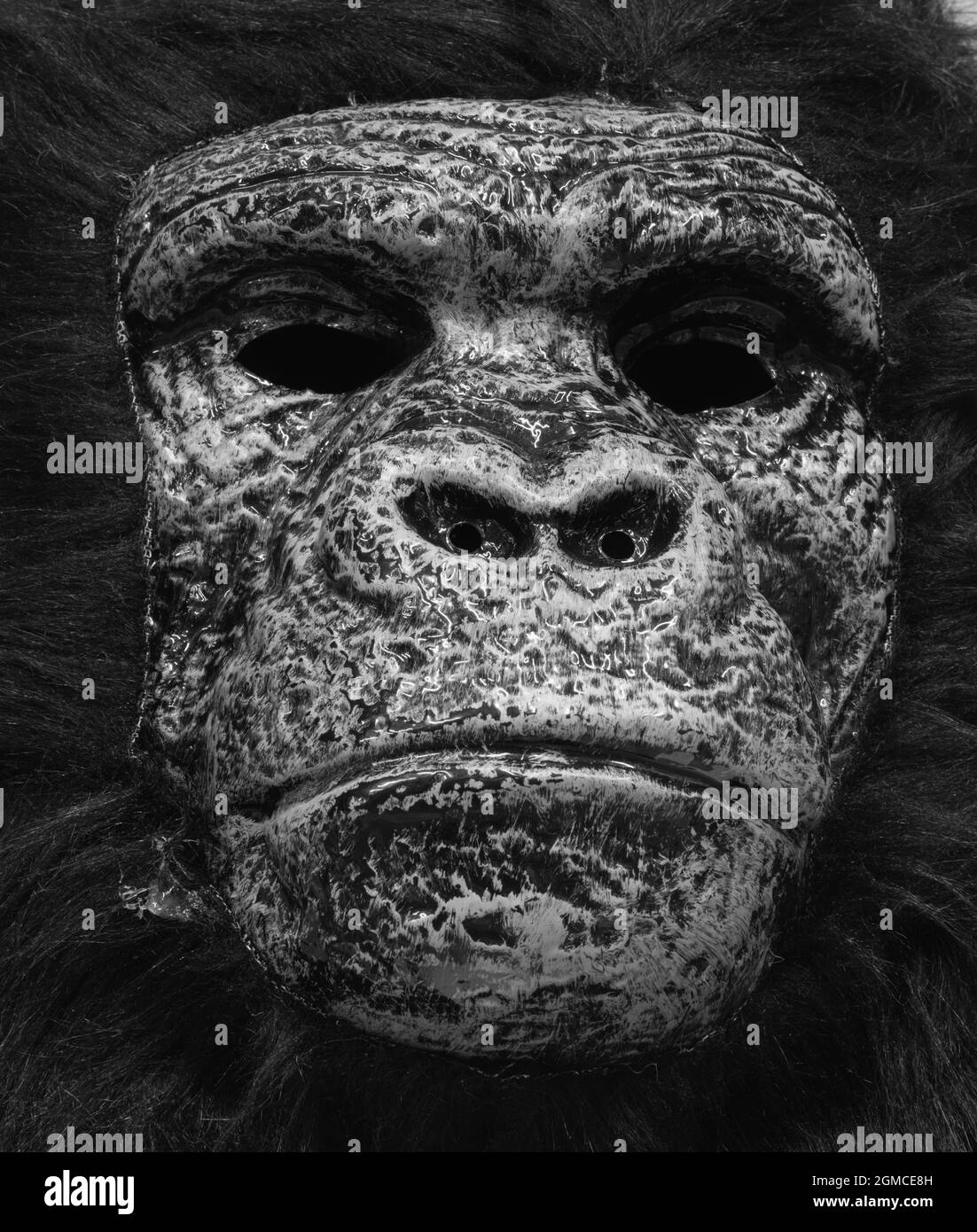 Gorilla Gesichtsmaske Ausgeschnitten Stockfoto
