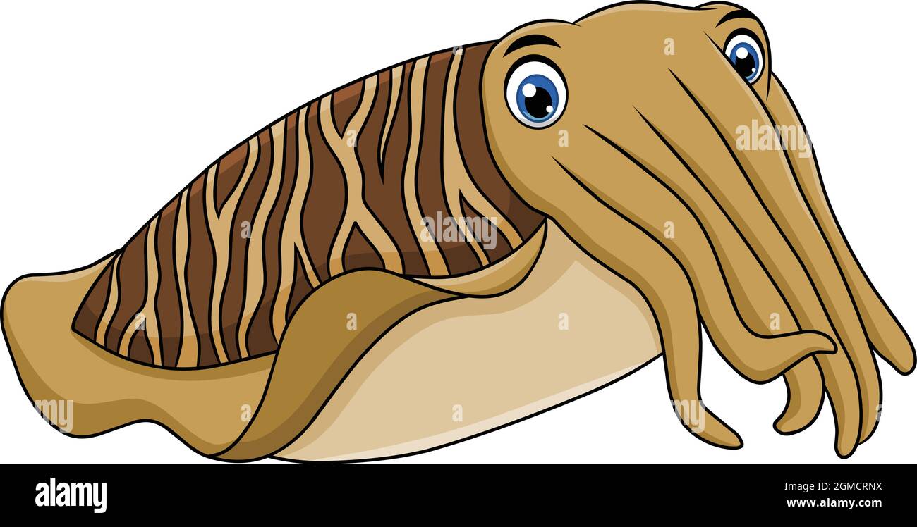 Cute Cuttlefish Cartoon Vektor Illustration Stock Vektor