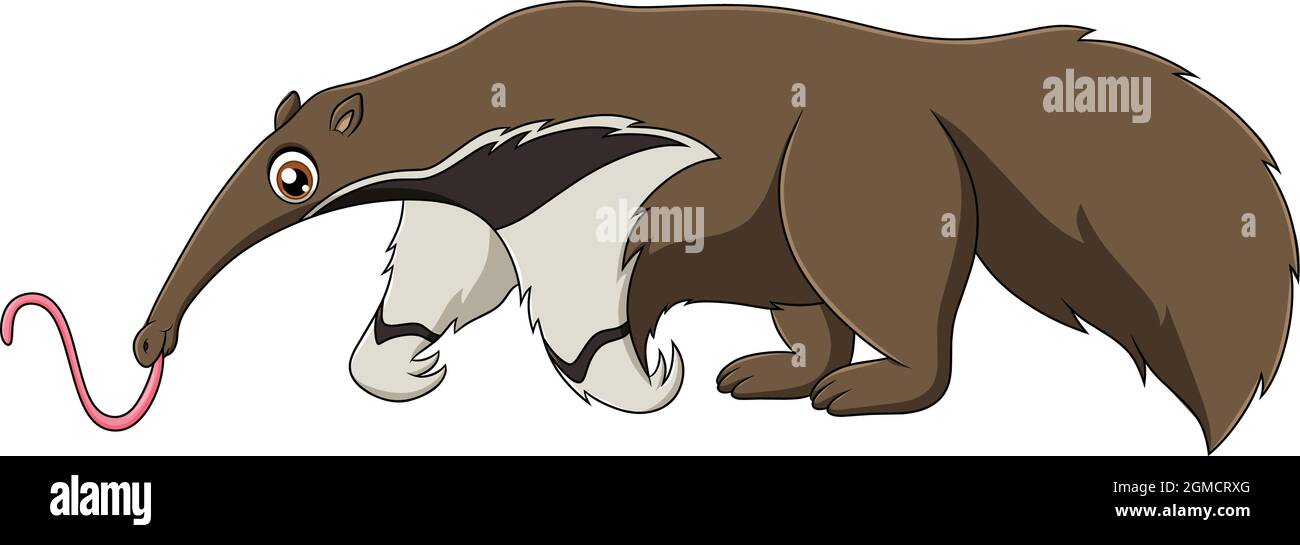 Niedliche Anteater Cartoon Vektor Illustration Stock Vektor