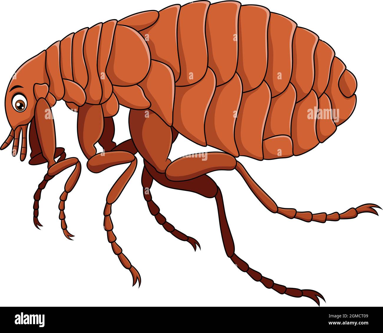 Niedliche Flea Insekt Cartoon Vektor Illustration Stock Vektor