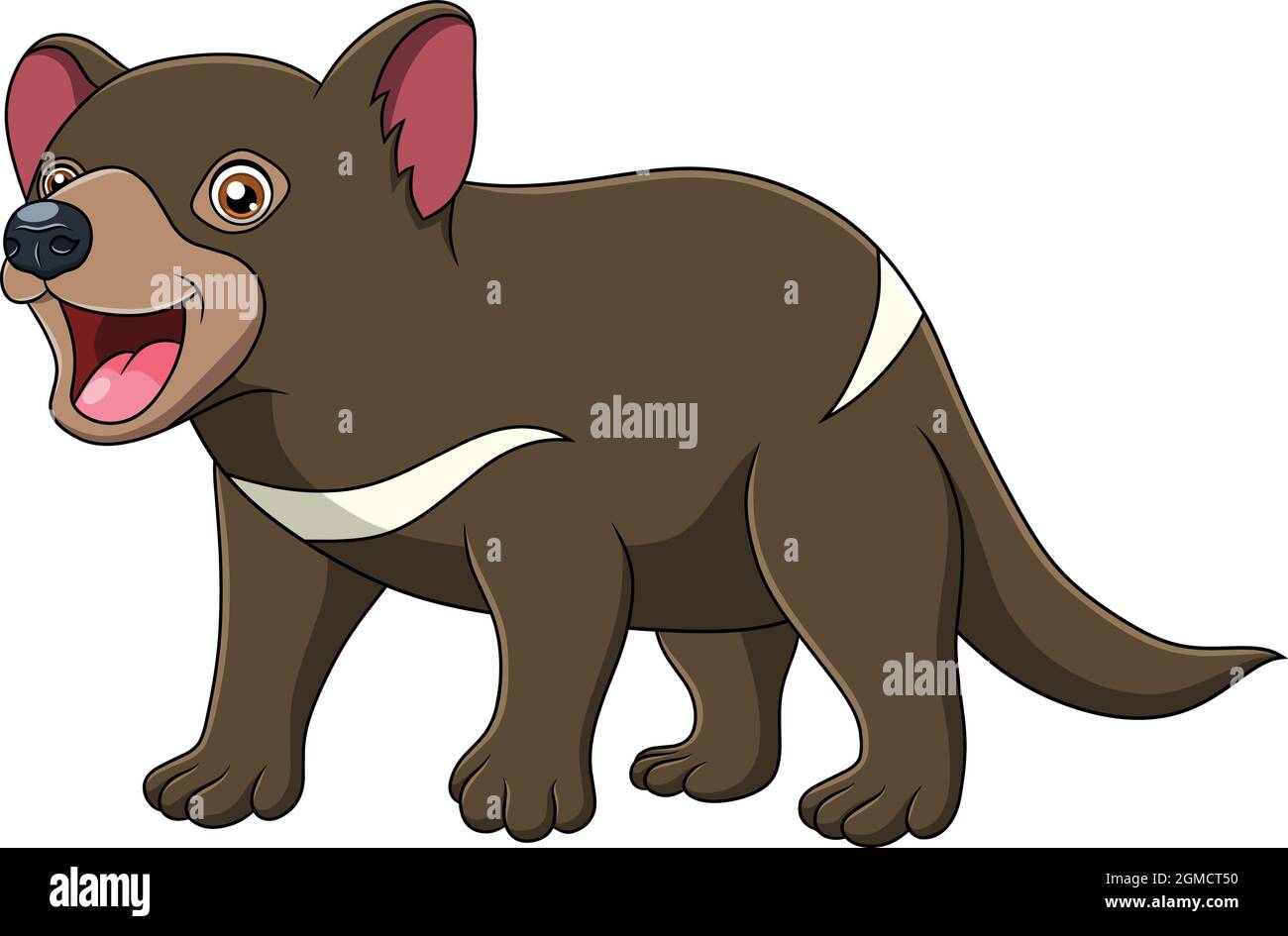Niedliche tasmanische Teufel Cartoon-Vektor-Illustration Stock Vektor