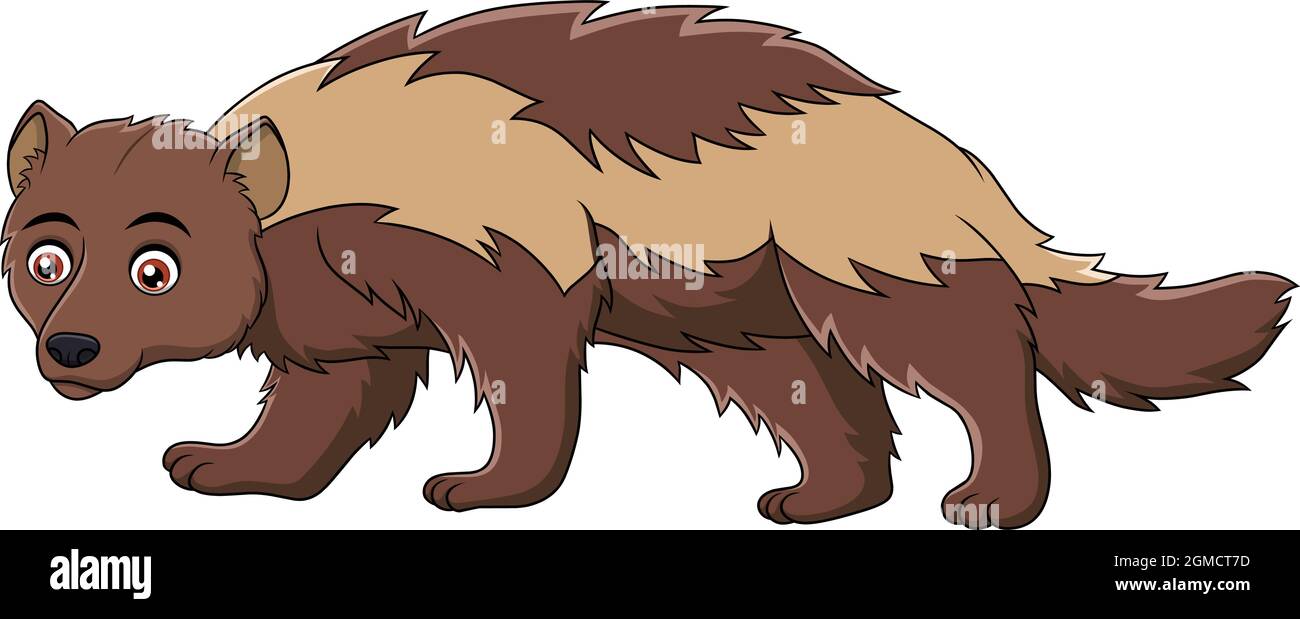 Niedliche Wolverine Tier Cartoon Vektor Illustration Stock Vektor