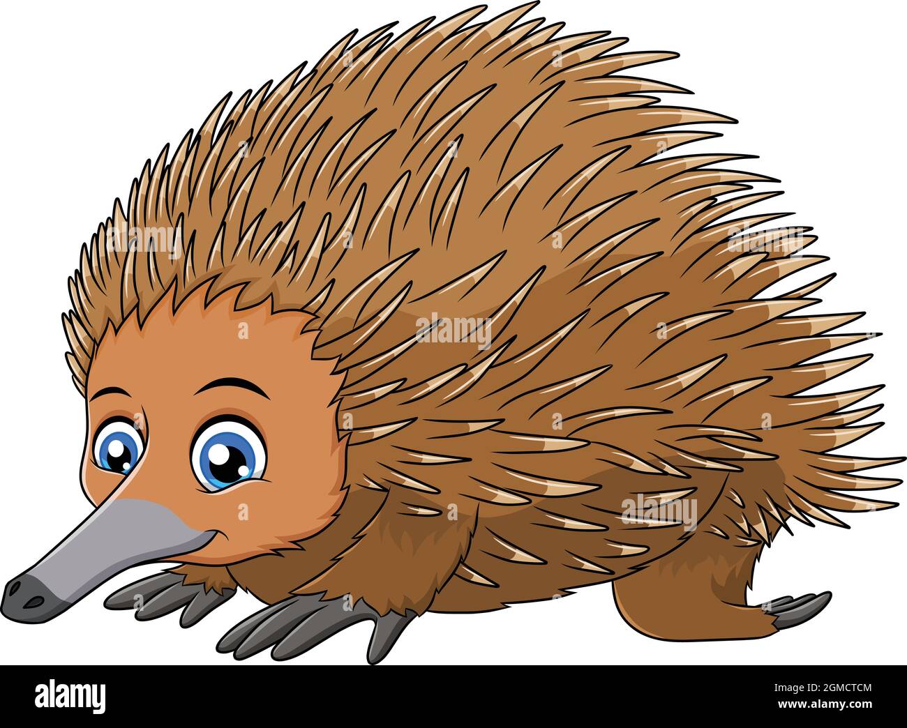 Nette kurzschnabige Echidna Cartoon-Vektor-Illustration Stock Vektor