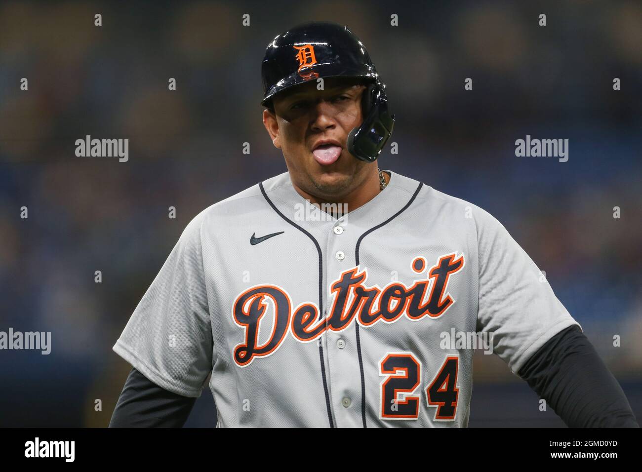 St. Petersburg, Florida. USA; Detroit Tigers erster Baseman Miguel Cabrera (24), der dumm war, nachdem er eine Single während eines Major League Baseballspiels Agai bekommen hatte Stockfoto