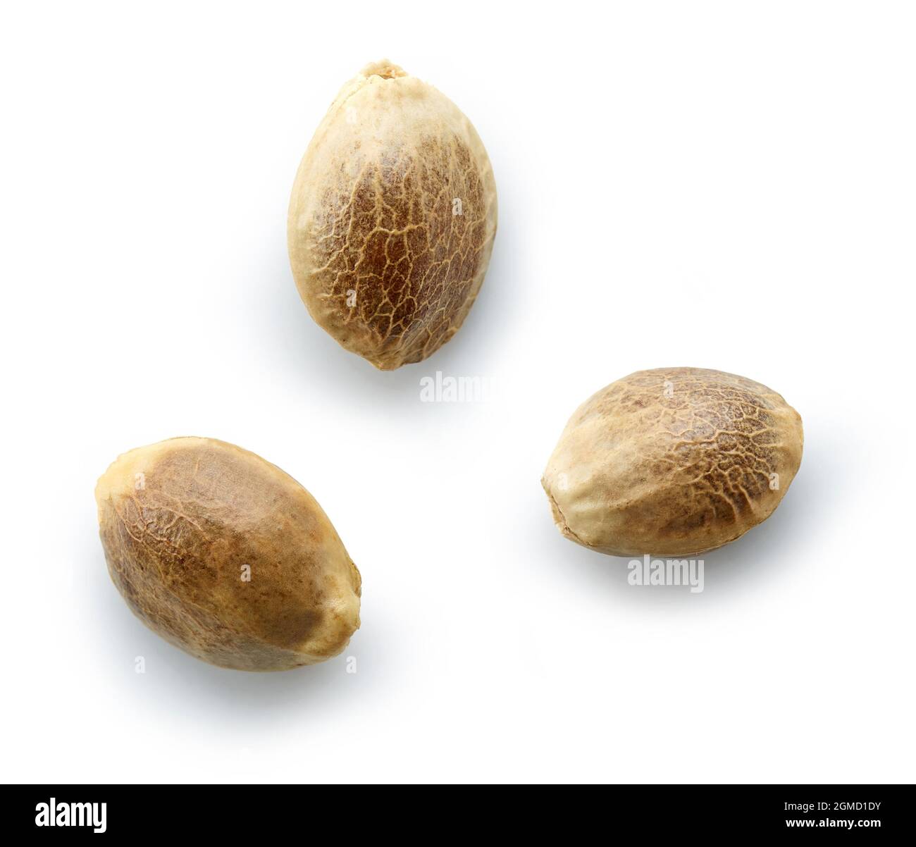 Hanfsamen Makro isoliert auf weißem Hintergrund, Draufsicht Stockfoto